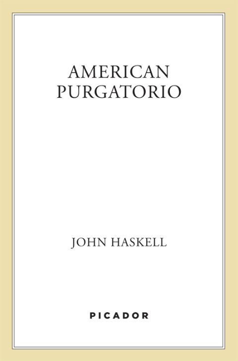 Cover image for book American Purgatorio