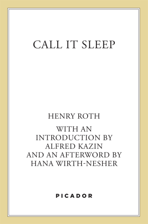 Cover image for book Call It Sleep