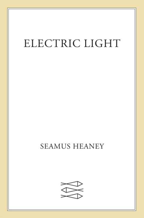 Cover image for book Electric Light