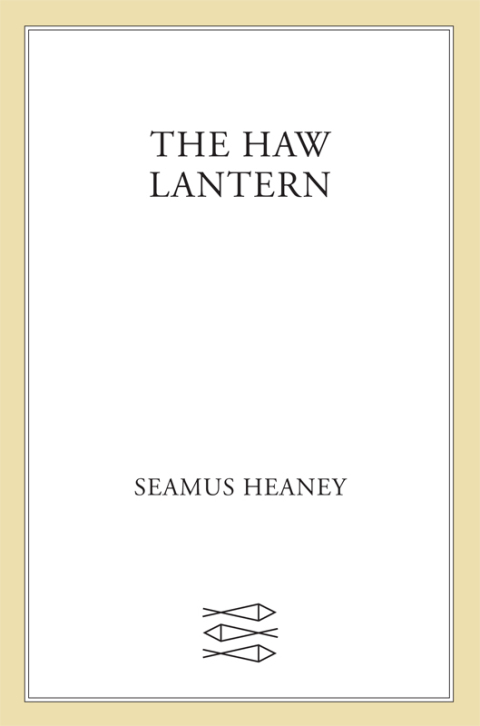 Cover image for book The Haw Lantern