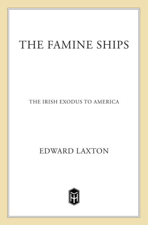 Cover image for book The Famine Ships