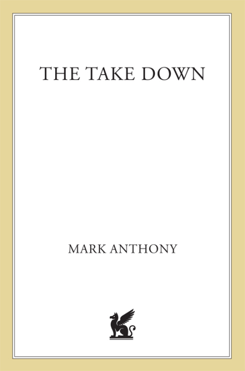 Cover image for book The Take Down