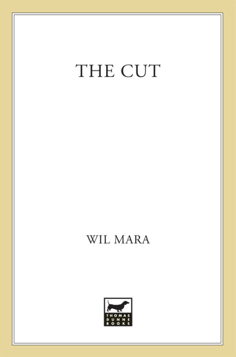 Cover image for book The Cut
