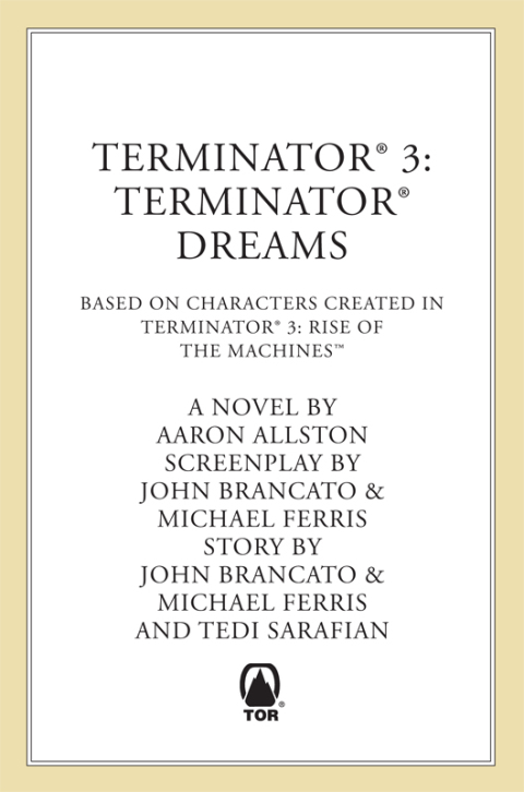 Cover image for book Terminator 3