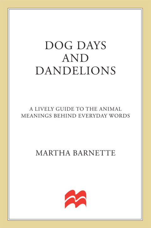 Cover image for book Dog Days and Dandelions