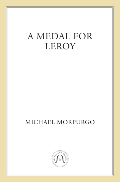 Cover image for book A Medal for Leroy