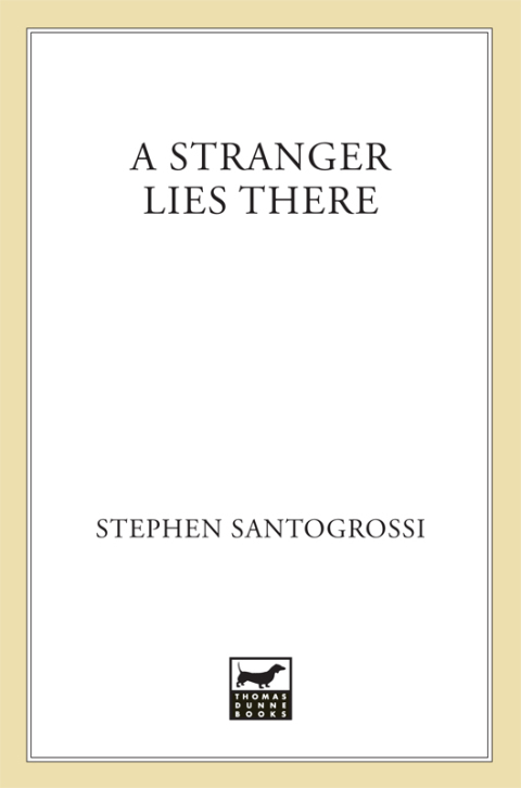Cover image for book A Stranger Lies There