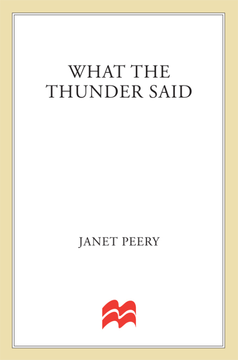 Cover image for book What the Thunder Said