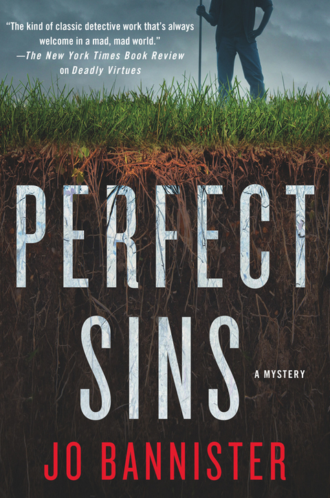 Cover image for book Perfect Sins