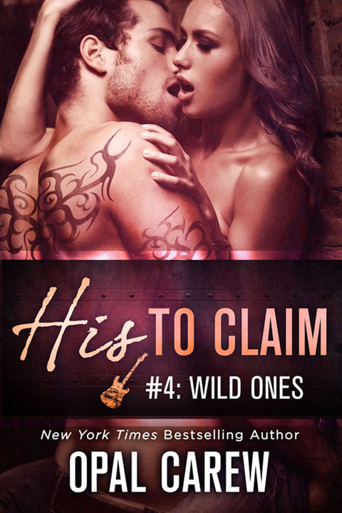 Cover image for book His to Claim #4: Wild Ones