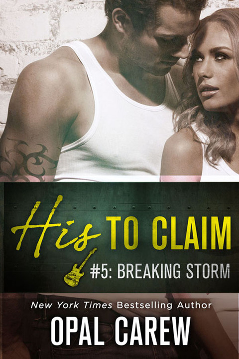 Cover image for book His to Claim #5: Breaking Storm