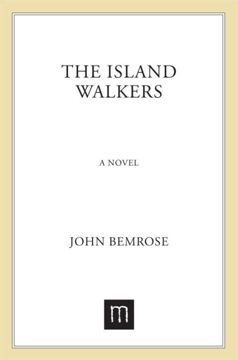 Cover image for book The Island Walkers