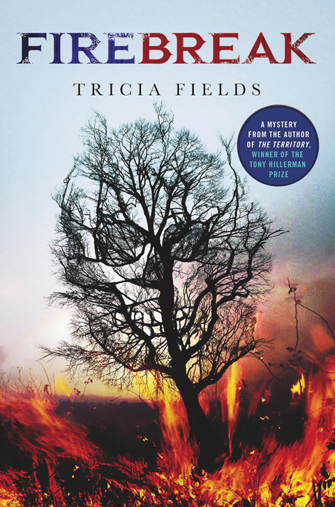 Cover image for book Firebreak