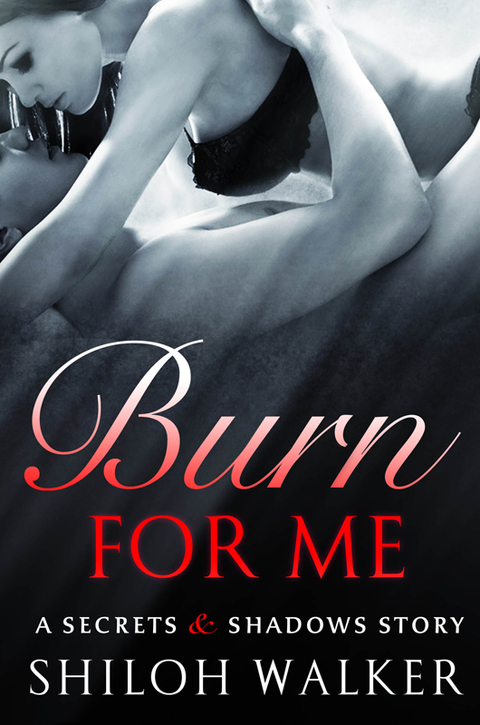 Cover image for book Burn For Me