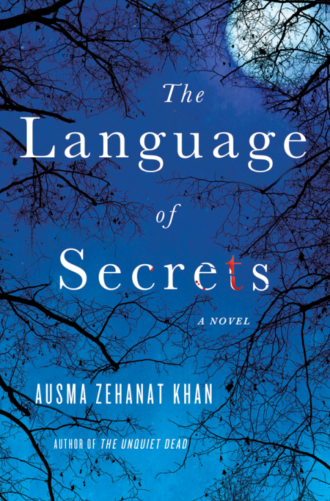 Cover image for book The Language of Secrets