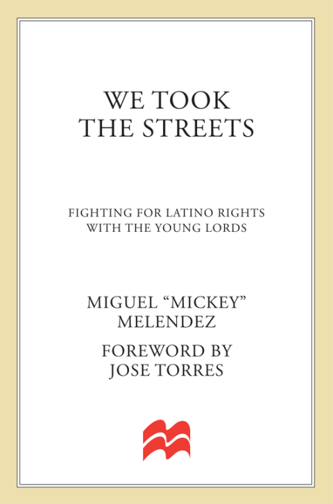 Cover image for book We Took the Streets