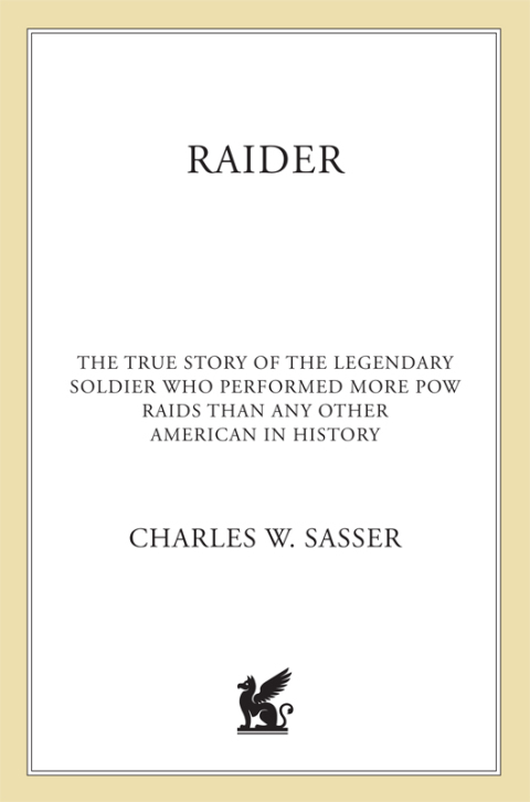 Cover image for book Raider