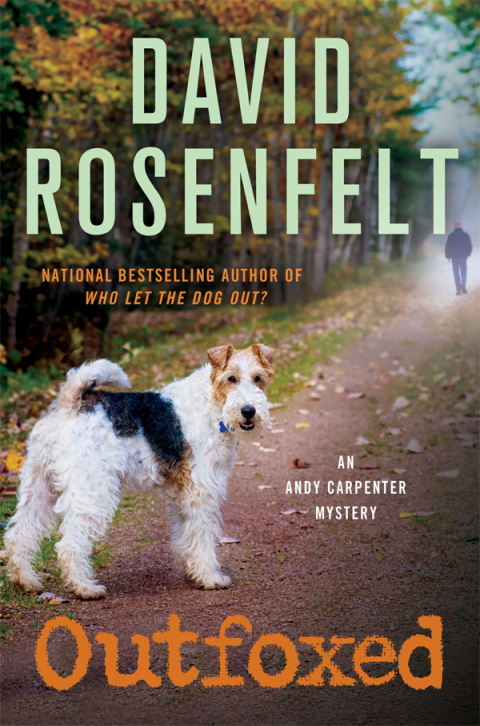 Cover image for book Outfoxed