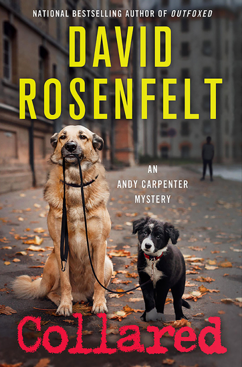 Cover image for book Collared