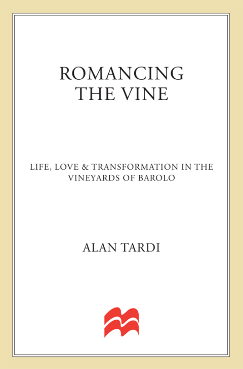 Cover image for book Romancing the Vine