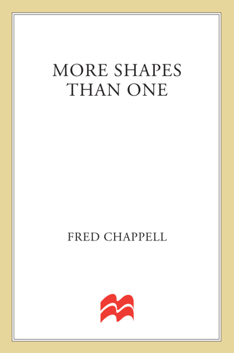 Cover image for book More Shapes Than One