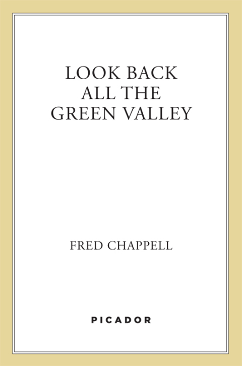 Cover image for book Look Back All the Green Valley