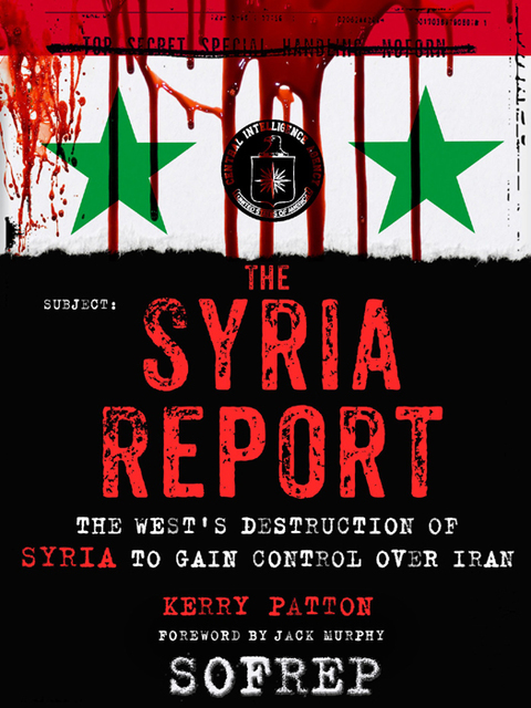 Cover image for book The Syria Report