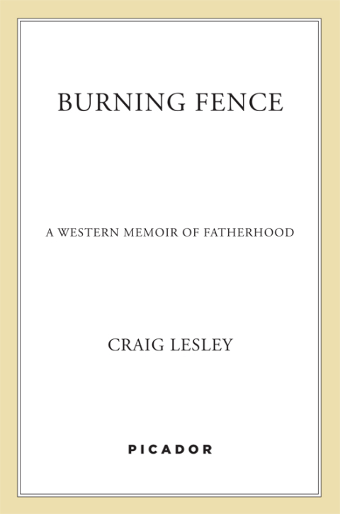 Cover image for book Burning Fence