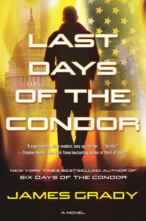 Cover image for book Last Days of the Condor