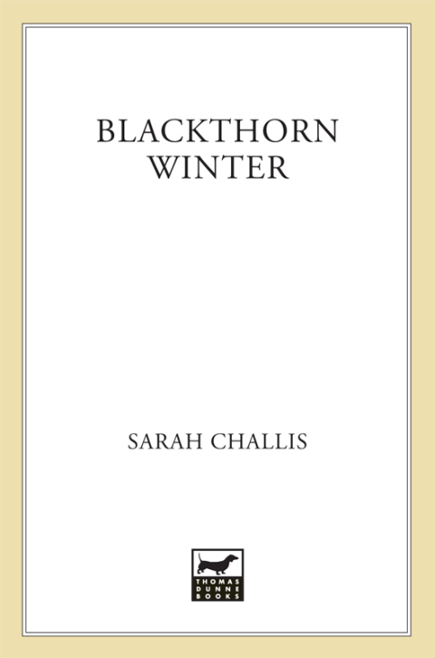 Cover image for book Blackthorn Winter