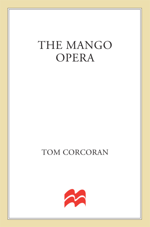 Cover image for book The Mango Opera