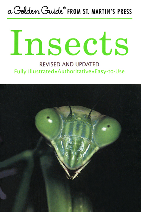 Cover image for book Insects