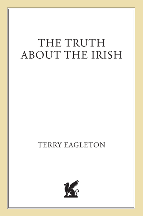 Cover image for book The Truth About the Irish