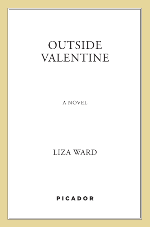 Cover image for book Outside Valentine