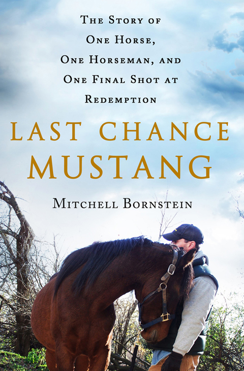 Cover image for book Last Chance Mustang