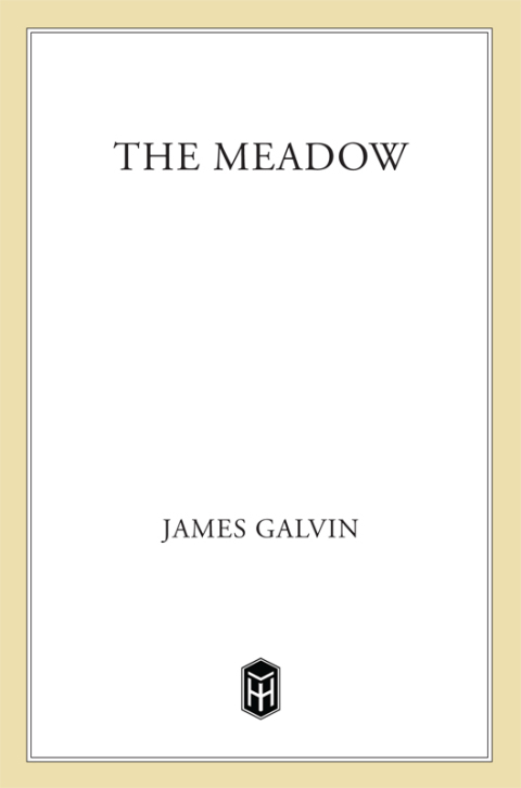 Cover image for book The Meadow