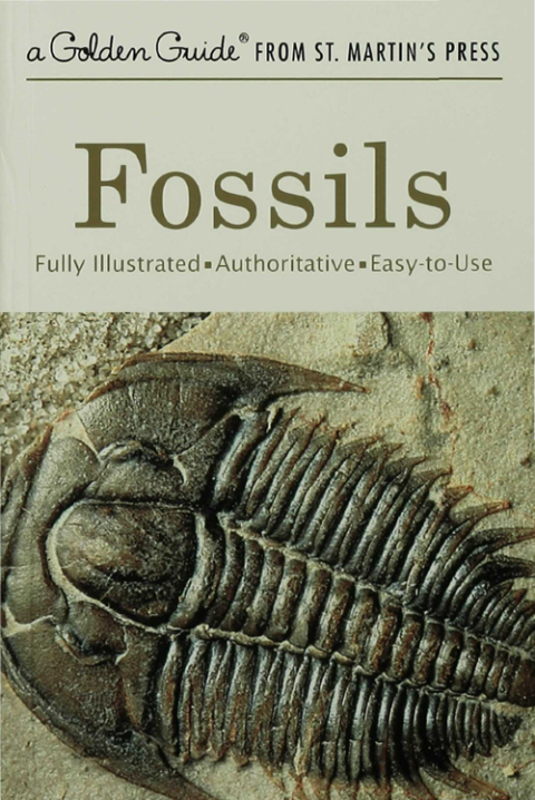 Cover image for book Fossils