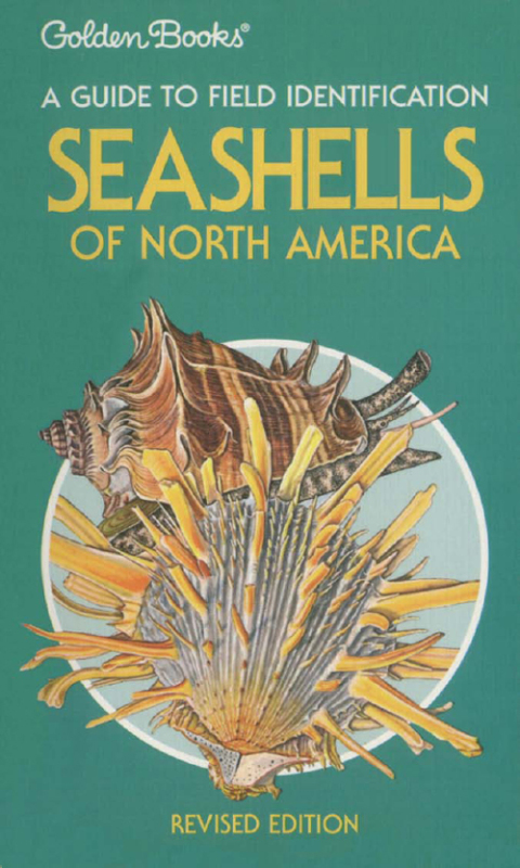 Cover image for book Seashells of North America