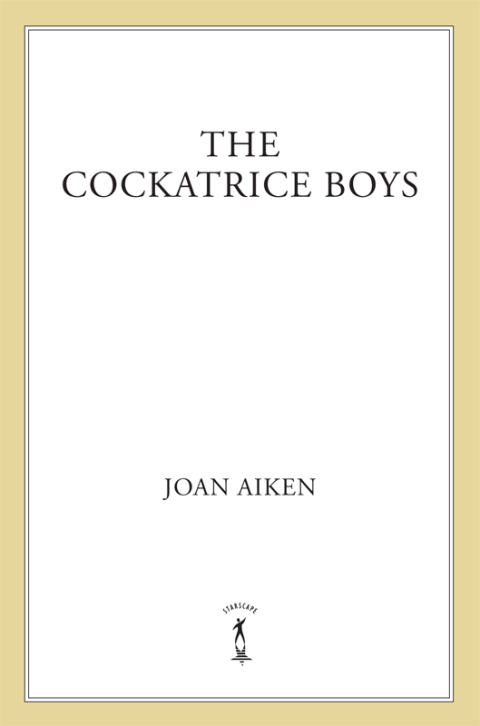 Cover image for book The Cockatrice Boys