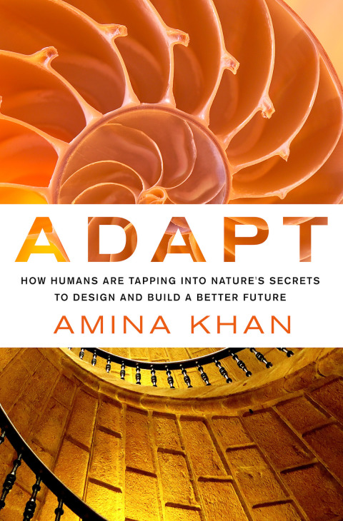 Cover image for book Adapt