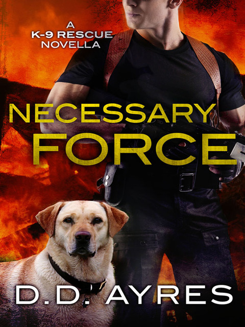 Cover image for book Necessary Force