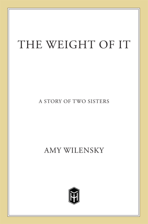 Cover image for book The Weight of It