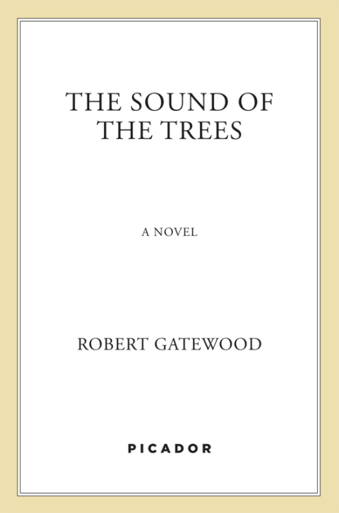 Cover image for book The Sound of the Trees