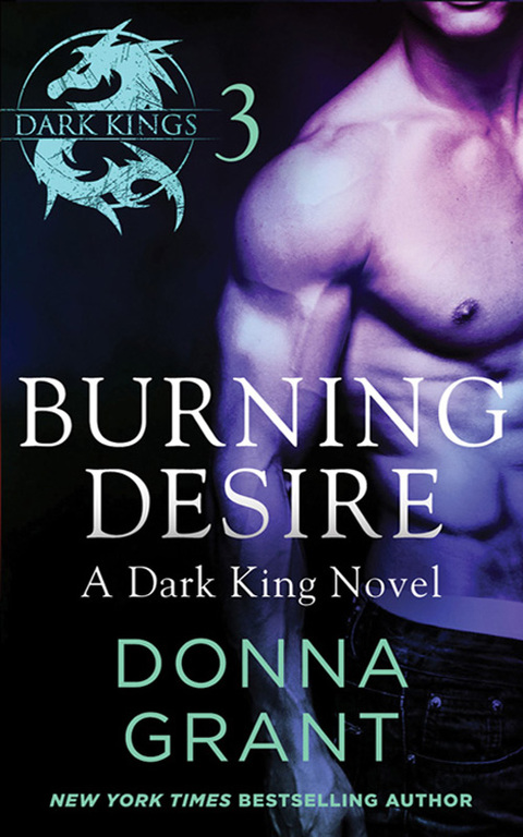 Cover image for book Burning Desire: Part 3