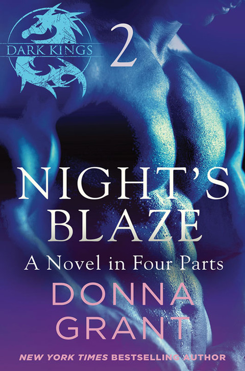 Cover image for book Night's Blaze: Part 2