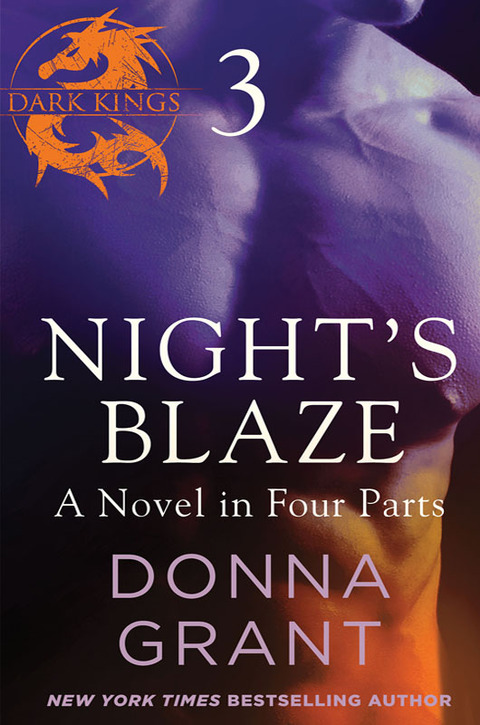 Cover image for book Night's Blaze: Part 3