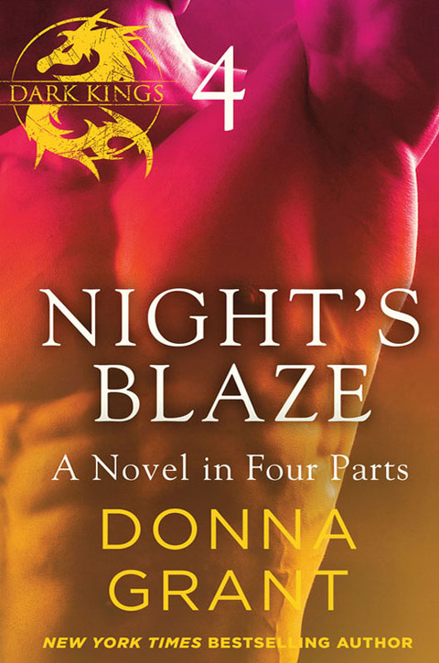 Cover image for book Night's Blaze: Part 4