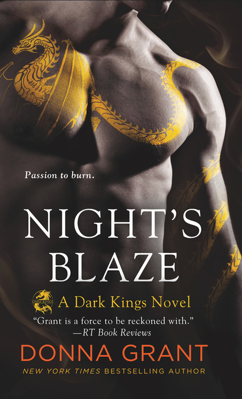 Cover image for book Night's Blaze