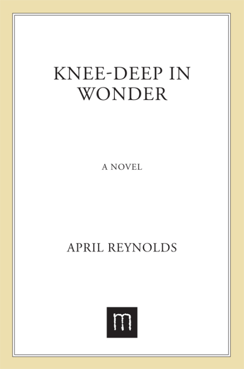 Cover image for book Knee-Deep in Wonder