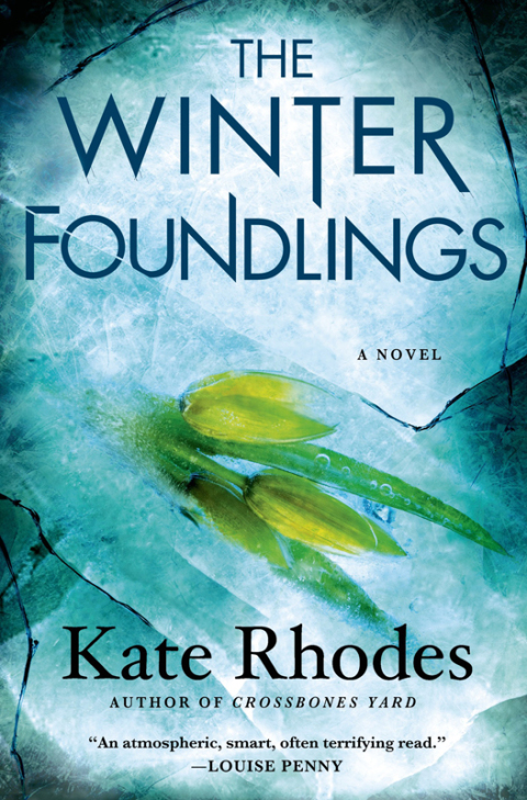 Cover image for book The Winter Foundlings